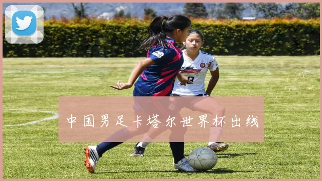 中国男足卡塔尔世界杯出线