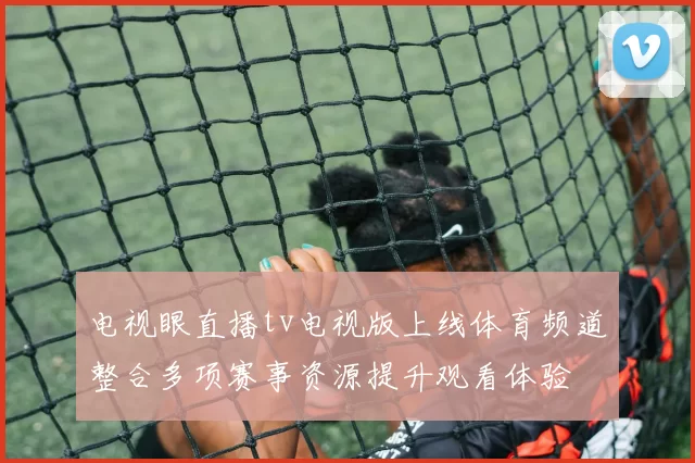电视眼直播tv电视版上线体育频道整合多项赛事资源提升观看体验