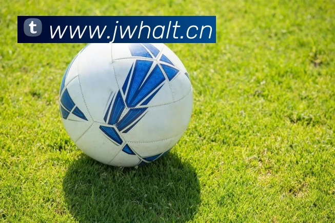 压球首页平台生态图